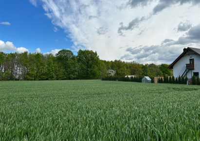 parcel for sale - Tyniec Mały