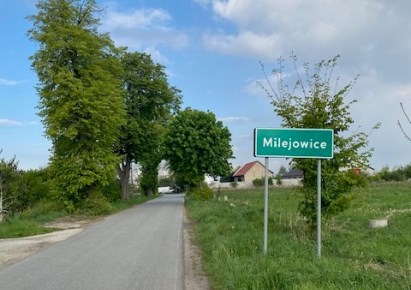 działka na sprzedaż - Żórawina, Milejowice