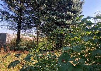 działka na sprzedaż - Siechnice