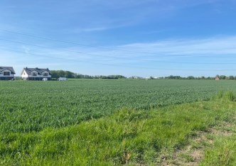 parcel for sale - Domasław