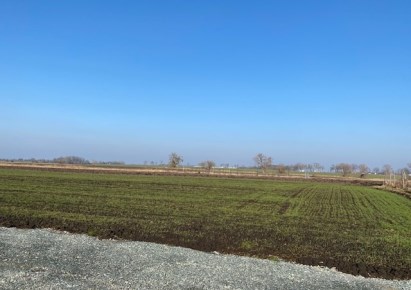 działka na sprzedaż - Żórawina