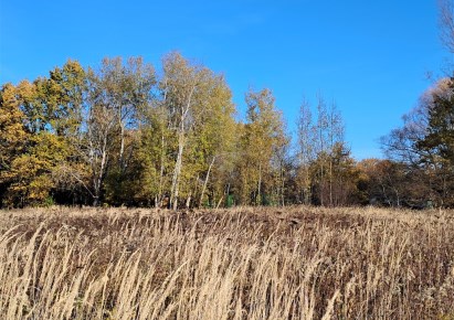działka na sprzedaż - Wrocław, Psie Pole, Kowale