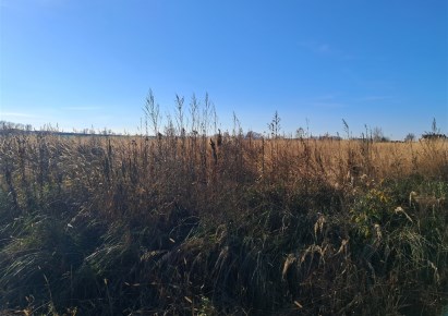 działka na sprzedaż - Domasław