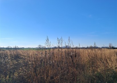 działka na sprzedaż - Domasław