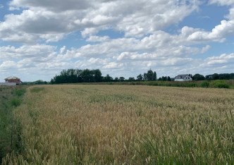 działka na sprzedaż - Kobierzyce