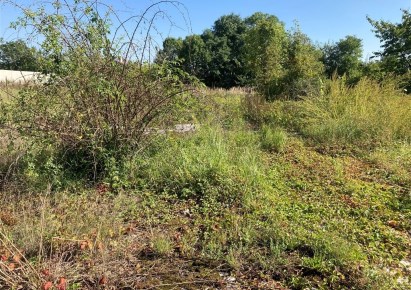 działka na sprzedaż - Siechnice