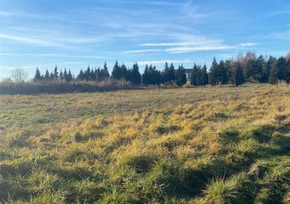 działka na sprzedaż - Ozorzyce