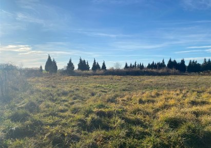 działka na sprzedaż - Ozorzyce