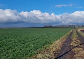 działka na sprzedaż - Żórawina