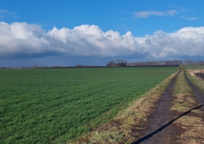 parcel for sale - Węgry