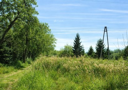 działka na sprzedaż - Groblice