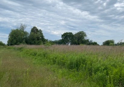 działka na sprzedaż - Kobierzyce