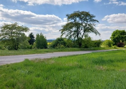 działka na sprzedaż - Borów