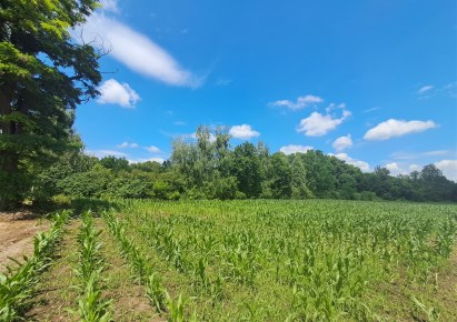 działka na sprzedaż - Bogunów