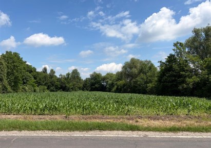 działka na sprzedaż - Żórawina