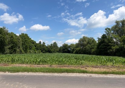 działka na sprzedaż - Żórawina