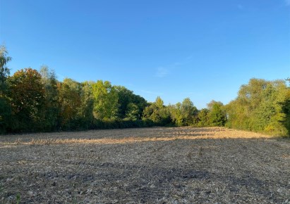 działka na sprzedaż - Żórawina, Bogunów